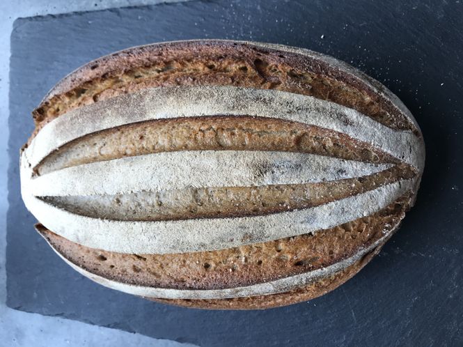 Hovedbilde Grov surdeig